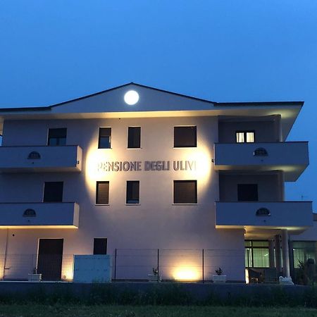 Pensione Degli Ulivi Porto Sant'Elpidio Ngoại thất bức ảnh