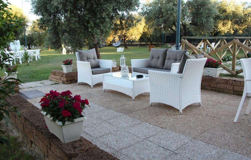 Pensione Degli Ulivi Porto Sant'Elpidio Ngoại thất bức ảnh