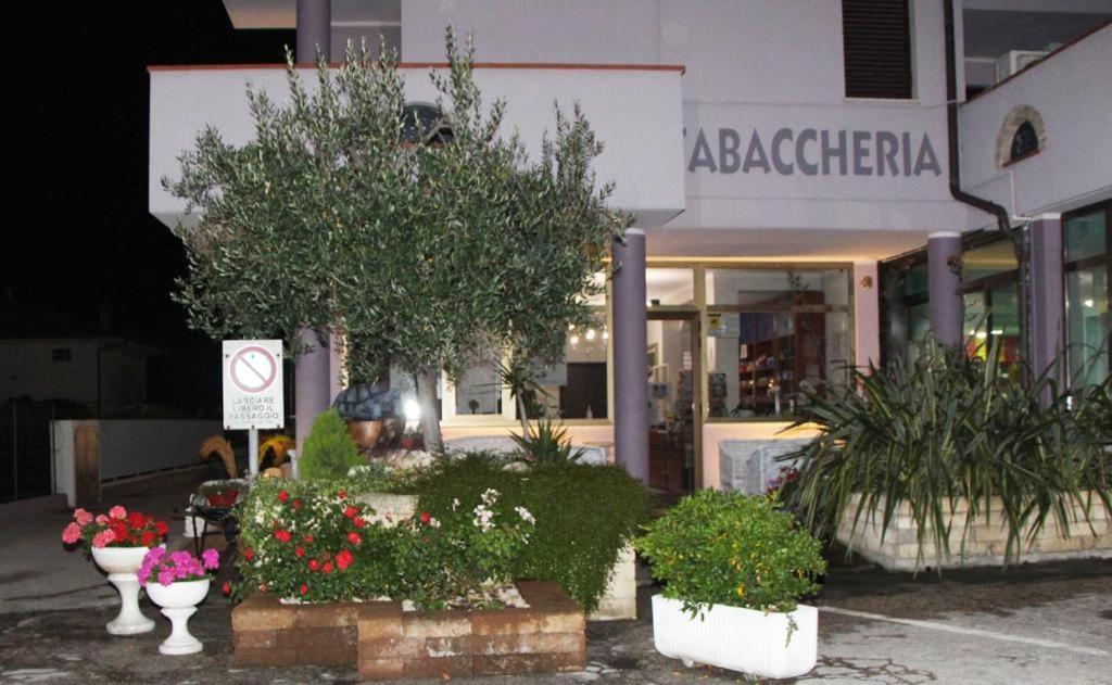 Pensione Degli Ulivi Porto Sant'Elpidio Ngoại thất bức ảnh