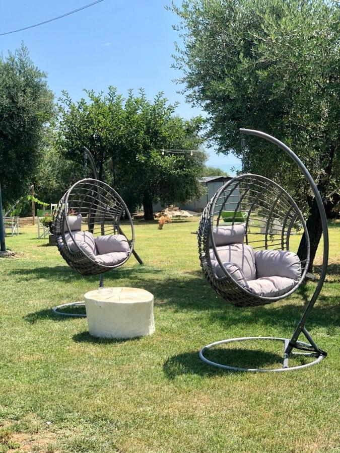 Pensione Degli Ulivi Porto Sant'Elpidio Ngoại thất bức ảnh