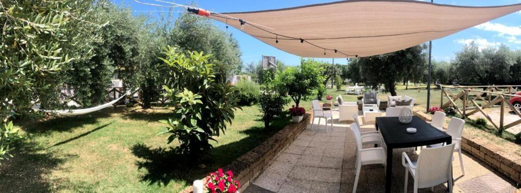 Pensione Degli Ulivi Porto Sant'Elpidio Ngoại thất bức ảnh