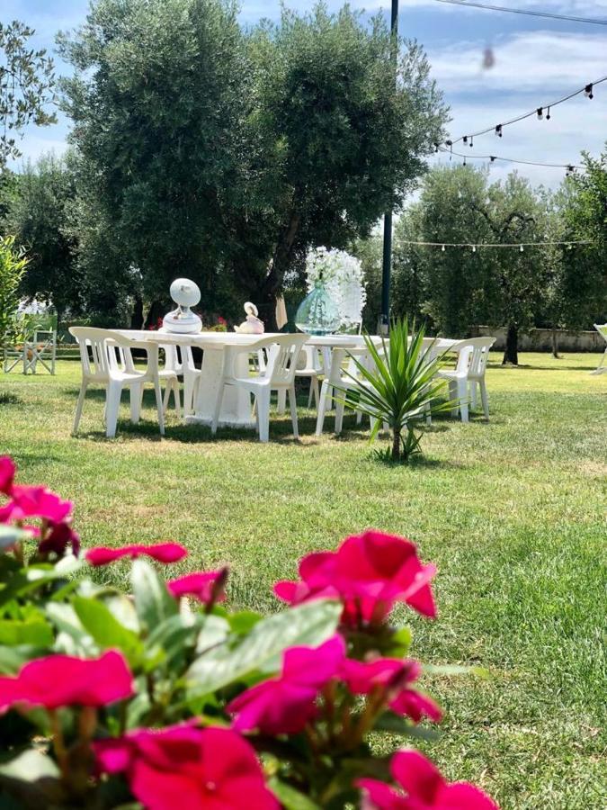 Pensione Degli Ulivi Porto Sant'Elpidio Ngoại thất bức ảnh