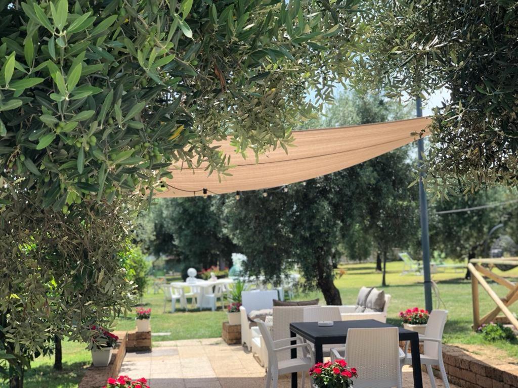 Pensione Degli Ulivi Porto Sant'Elpidio Ngoại thất bức ảnh