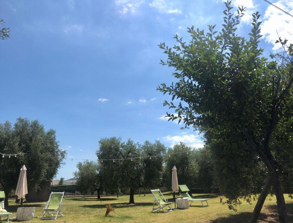 Pensione Degli Ulivi Porto Sant'Elpidio Ngoại thất bức ảnh